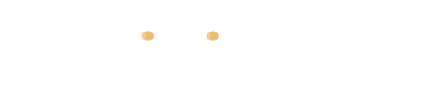 Bvisionry